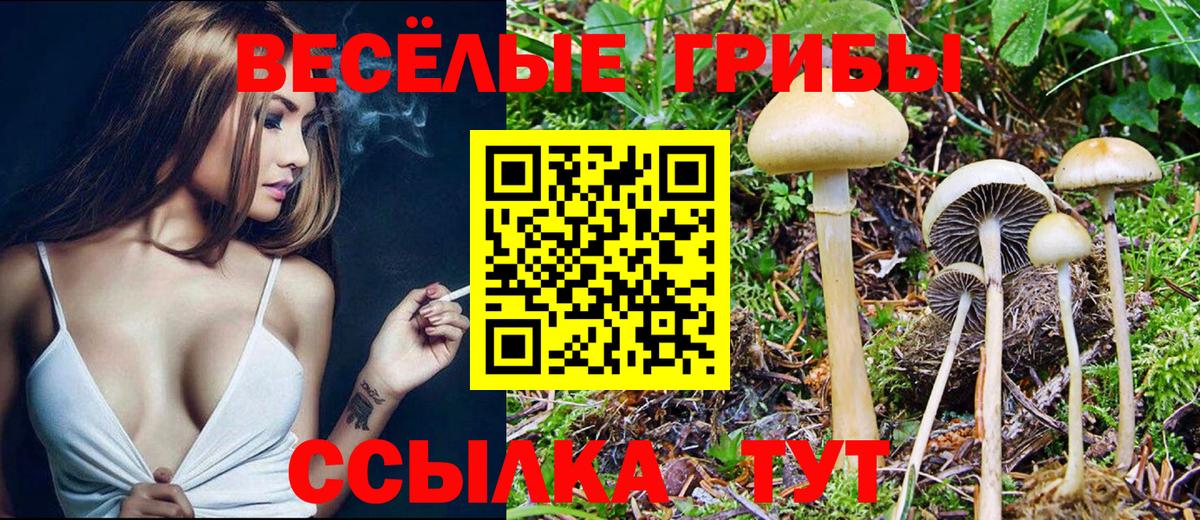 Псилоцибиновые грибы Magic Shrooms Ртищево