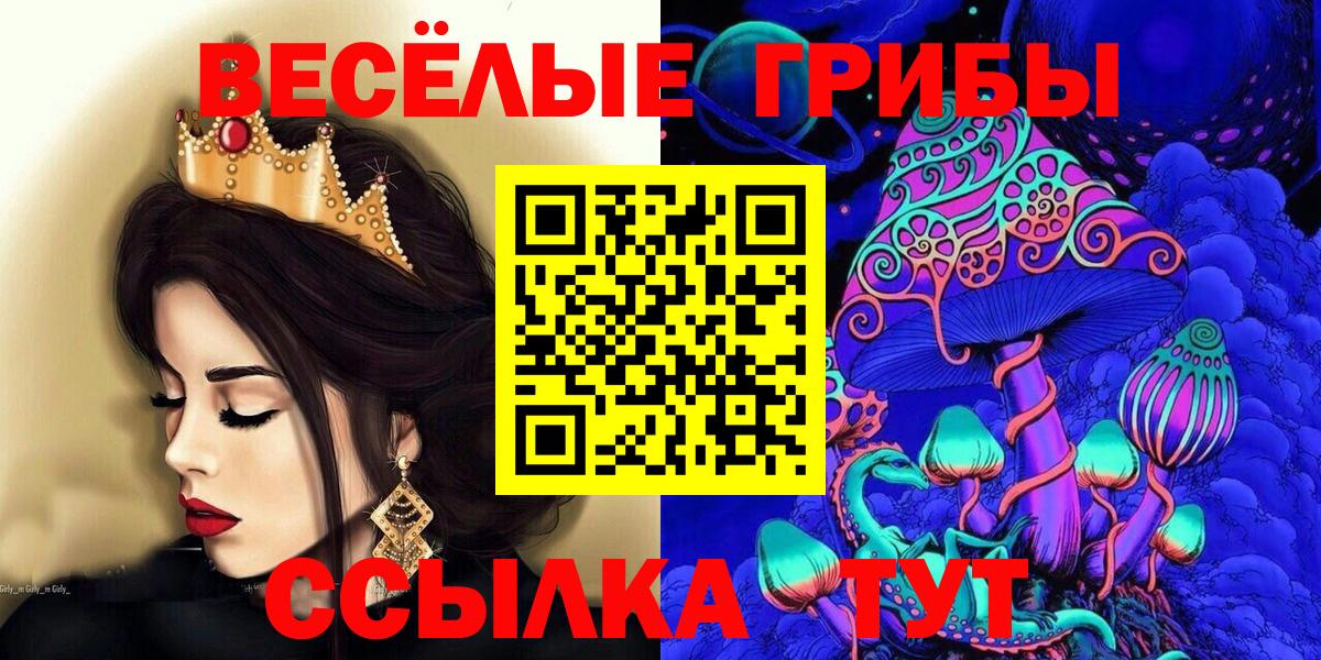 Псилоцибиновые грибы Psilocybe  Псилоцибиновые грибы ЛСД  Ртищево  Вход с VPN 